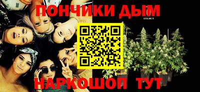 шишки Владимир