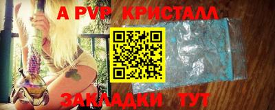 шишки Владимир
