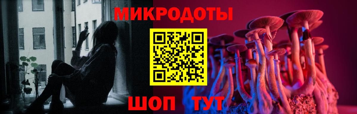 Псилоцибиновые грибы прущие грибы  Псилоцибиновые грибы прущие грибы  Муравленко  Вход с VPN 